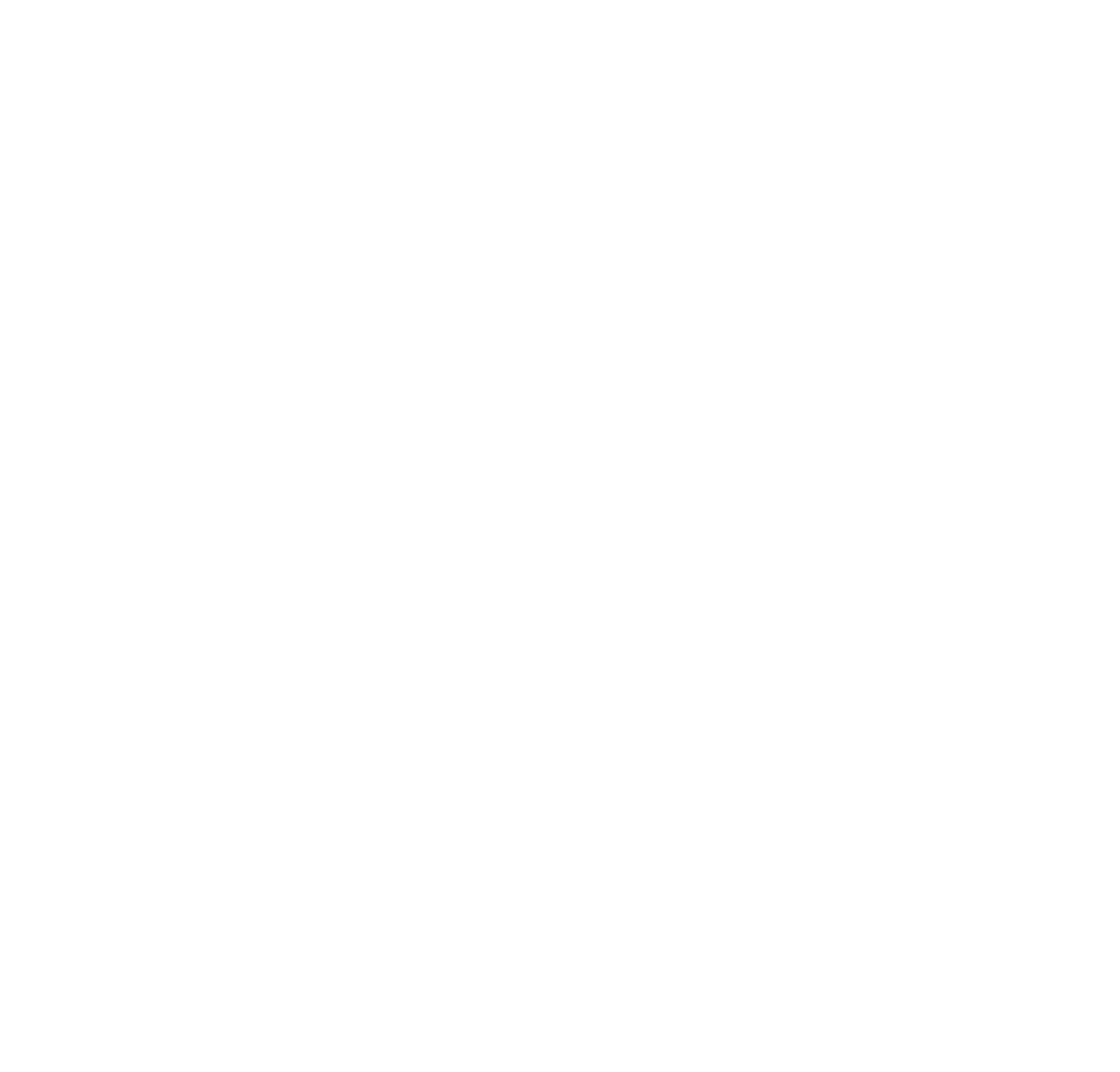 palmer-paint-company-square-white palmer paint company logo